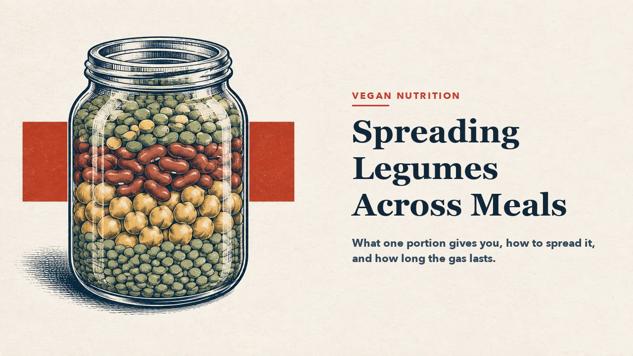 A glass jar filled with pulses arranged in visible layers: yellow lentils at the top, green peas beneath them, red kidney beans across the middle, chickpeas below and green lentils at the bottom. A short red band passes behind the jar. Engraving-style illustration with the right half left empty for the article headline.
