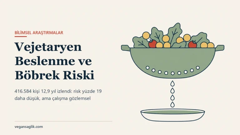 Vejetaryen beslenme ve kronik böbrek hastalığı riski yazısının editoryal kapağı. Sağda iki kulplu, adaçayı yeşili bir mutfak süzgeci duruyor; içinde yeşil yapraklar, altın sarısı yuvarlak mercimekler ve iki küçük kırmızı domates var. Süzgecin alt kavisi boyunca tek bir sıra hâlinde küçük yuvarlak delikler dizili. Deliklerin altından dikey olarak dört su damlası düşüyor ve en altta sığ, geniş bir tabak bekliyor. Solda Vejetaryen Beslenme ve Böbrek Riski başlığı ve 416.584 kişinin 12,9 yıl izlendiği, riskin yüzde 19 daha düşük bulunduğu ama çalışmanın gözlemsel olduğu satırı.