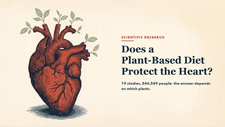 An engraving-style anatomical human heart with small green sprigs growing from the aorta and great vessels. The right half is left empty for the article headline.