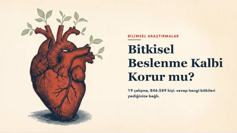 Oyma baskı üslubunda anatomik bir insan kalbi; aort ve büyük damarlardan yeşil filizler çıkıyor. Sağ yarıda yazının başlığı için boş alan bırakılmış.