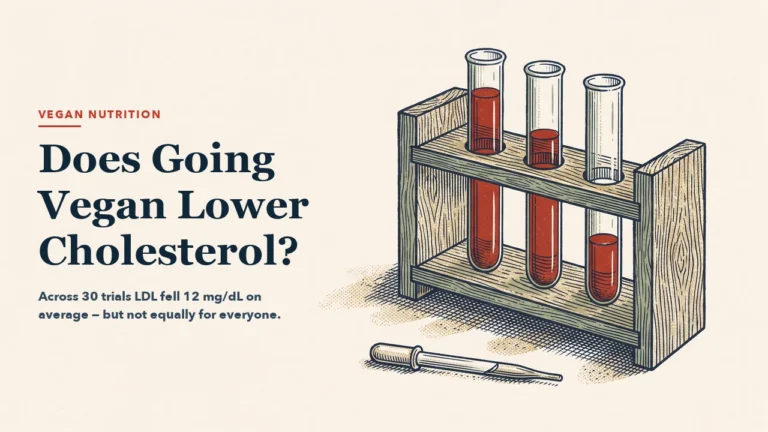 Three glass tubes side by side in a wooden rack, each holding a deep red liquid at a visibly different level, with a glass pipette lying in front. Engraving-style illustration, left half left empty for the headline.