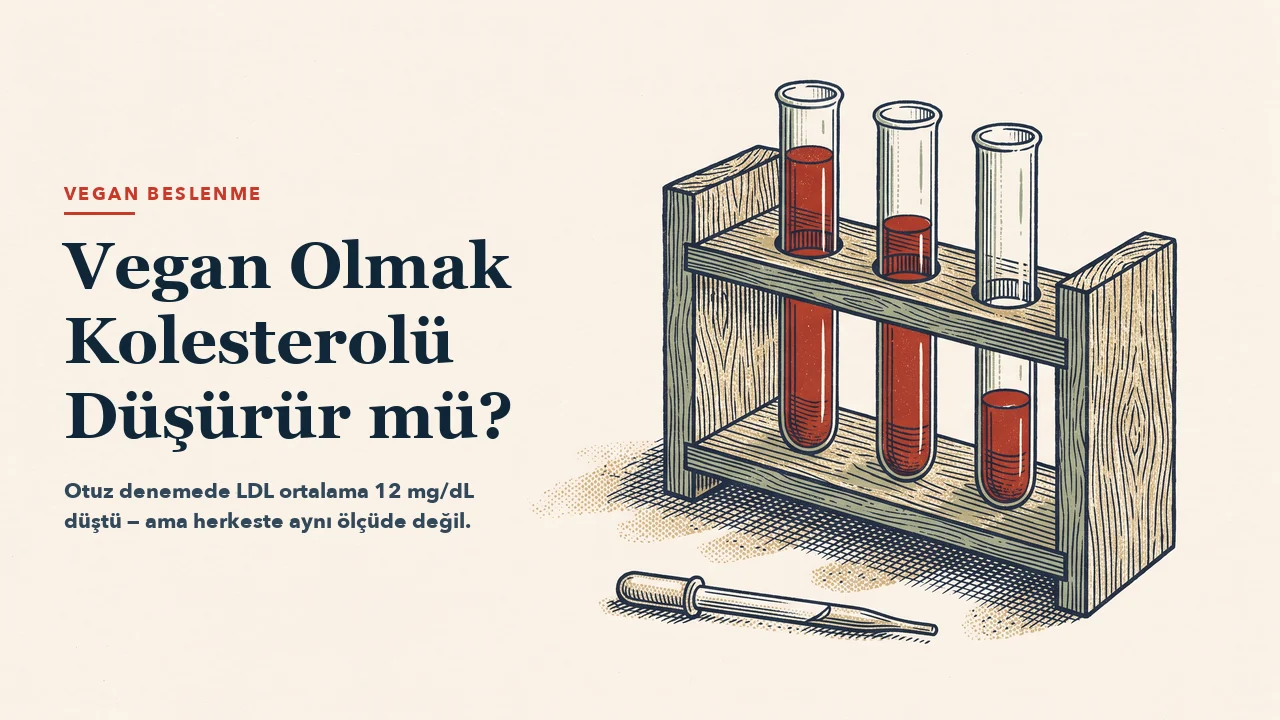 Tahta bir sehpada yan yana duran üç cam tüp; üçünde de koyu kırmızı sıvı var ama seviyeleri birbirinden farklı. Önünde yatık bir cam pipet. Oyma baskı üslubunda çizim; sol yarıda başlık için boş alan bırakılmış.