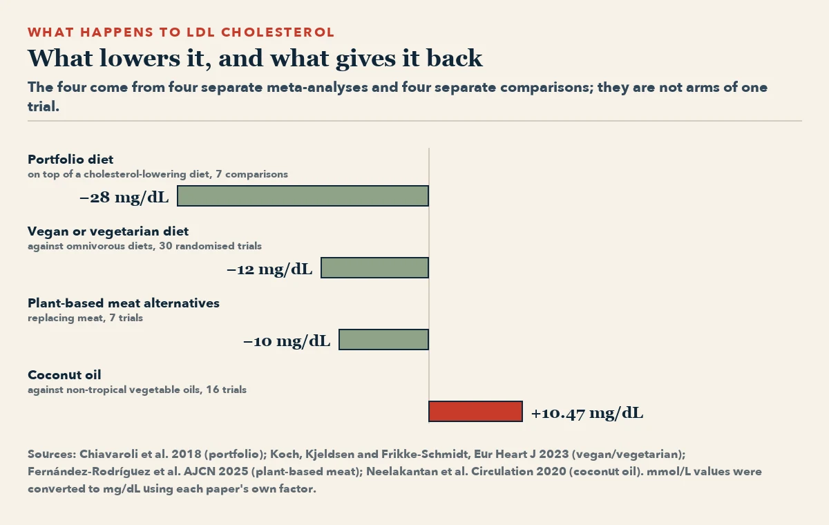 Four horizontal bars. The portfolio diet lowers LDL cholesterol by 28 mg/dL, a vegan or vegetarian diet by 12 mg/dL and plant-based meat alternatives by 10 mg/dL, while coconut oil raises it by 10.47 mg/dL.