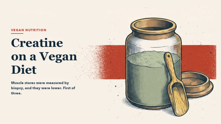 A storage jar with its lid set aside, the powder inside reaching only two thirds of the way up, a wooden scoop beside it and a wide red band behind. Engraving-style illustration, left half left empty.