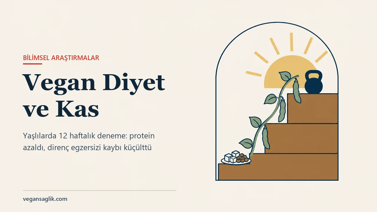 Yaşlılarda vegan diyet ve kas üzerine yazının editoryal kapağı. Sağda uzun, kemerli bir çerçevenin içinde üç kahverengi basamak altın rengi yarım güneşe doğru yükseliyor; en alt basamaktaki tofu küpleri ve fasulyeli küçük tabağın yanından çıkan, baklaları sarkan yeşil bir fasulye sarmaşığı basamaklar boyunca tırmanıyor, en üst basamakta küçük lacivert bir kettlebell duruyor. Solda Vegan Diyet ve Kas başlığı ve yaşlılarda 12 haftalık deneme: protein azaldı, direnç egzersizi kaybı küçülttü satırı.