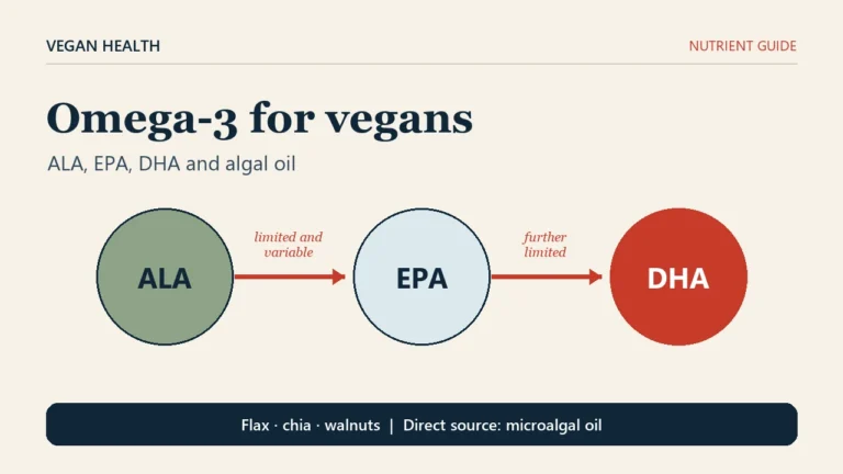 Editorial cover of the omega-3 guide for vegans. Three circles are arranged as ALA, EPA and DHA; the arrow from ALA to EPA is labelled limited and variable, and the arrow from EPA to DHA even more limited. A footer names flaxseed, chia and walnuts, with microalgae oil as the direct source.