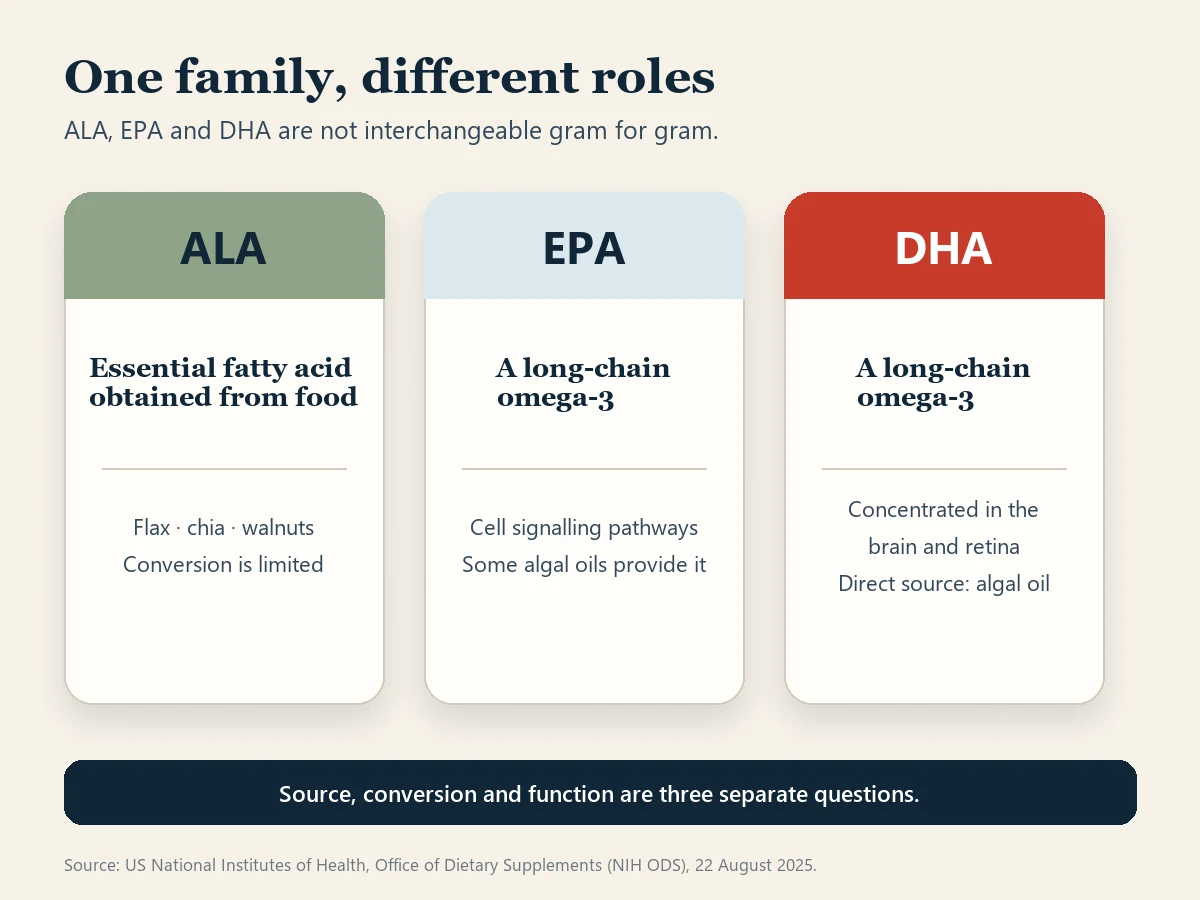 Three-card comparison of ALA, EPA and DHA. It identifies ALA as an essential fatty acid from foods such as flax, chia and walnuts; EPA as involved in cellular signalling; and DHA as concentrated in the brain and retina.