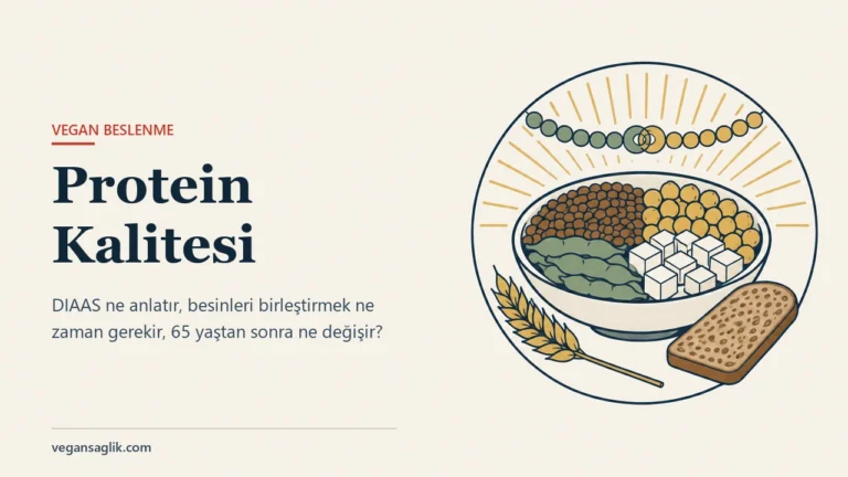 Vegan beslenmede protein kalitesi rehberinin editoryal kapağı. Sağda altın rengi ışınlı bir dairenin içinde mercimek, nohut, edamame baklası ve tofu küplerini ayrı gruplar hâlinde tutan bir kâse, yanında bir buğday başağı ve bir dilim tam tahıllı ekmek; kâsenin üstünde yeşil ve altın renkli boncuklardan oluşan, ortada toka gibi birleşen bir zincir. Solda Protein Kalitesi başlığı ve DIAAS ne anlatır, besinleri birleştirmek ne zaman gerekir, 65 yaştan sonra ne değişir sorusu.