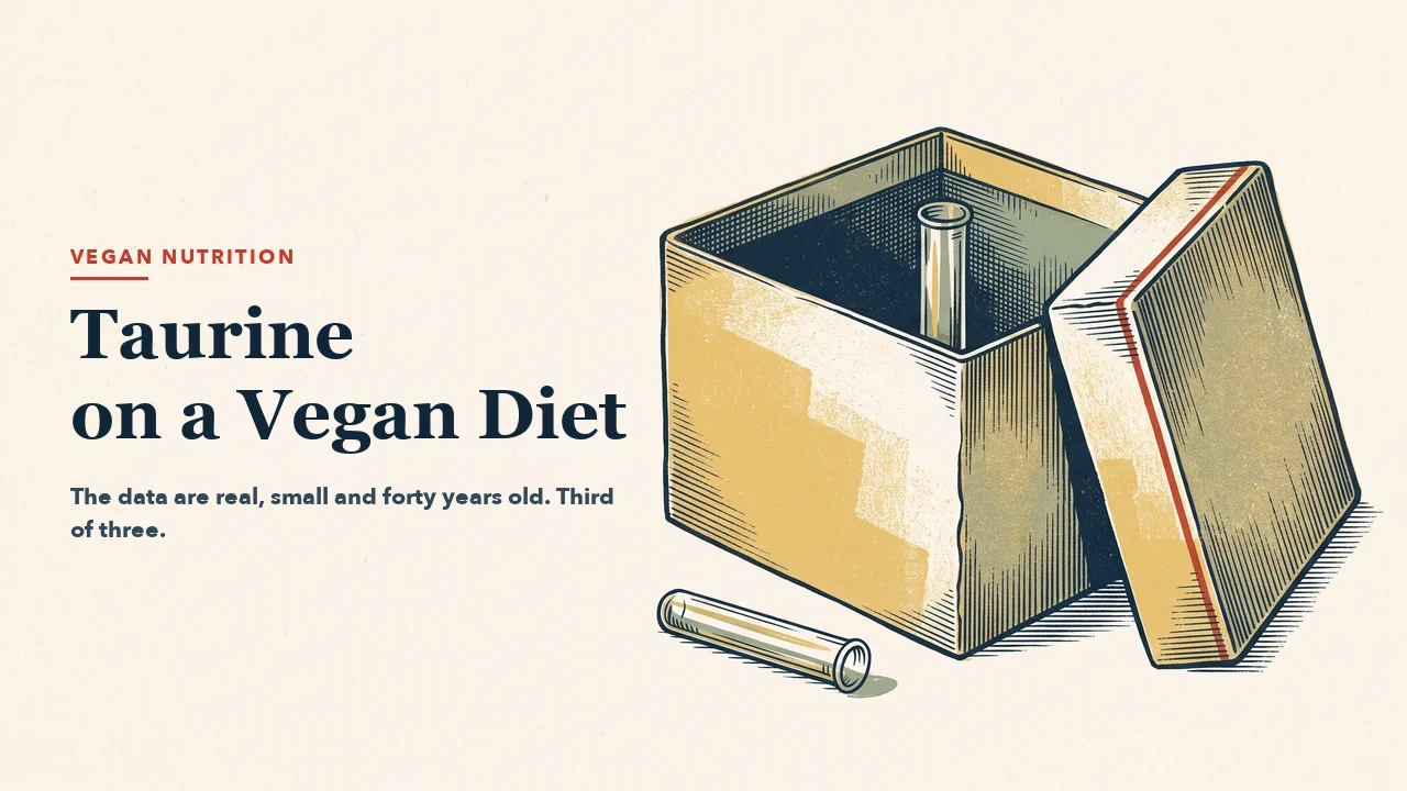 An archive box with its lid set aside, holding just one glass tube inside, a second empty tube tipped over in front. Engraving-style illustration, left half left empty for the headline.