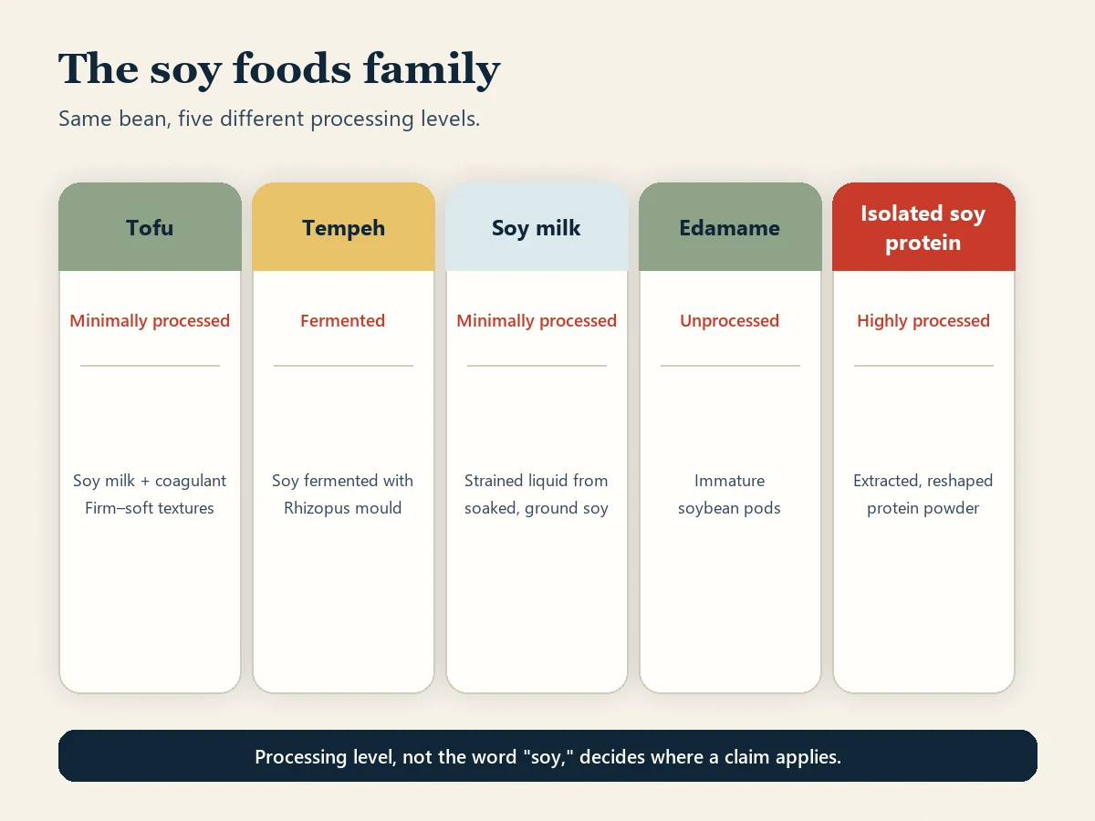 Card diagram titled The soy foods family, showing five cards for tofu, tempeh, soy milk, edamame and isolated soy protein, each noting its processing level and typical use.