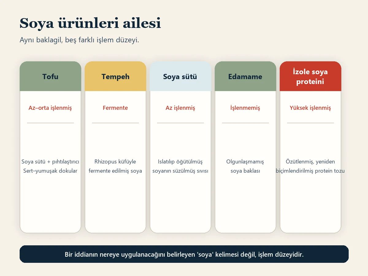 Soya ürünleri ailesi başlıklı kart şeması; tofu, tempeh, soya sütü, edamame ve izole soya proteini için beşer kart, her birinde işlem düzeyi ve tipik kullanım belirtiliyor.