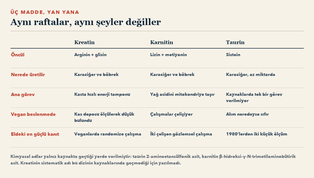 Kreatin, karnitin ve taurinin beş satırda karşılaştırıldığı tablo: öncül, nerede üretildiği, ana görevi, vegan beslenmede durumu ve eldeki en güçlü kanıt.