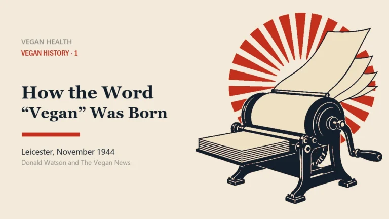 Article cover. On the right, a hand-cranked rotary stencil duplicator drawn at a three-quarter angle, showing its side crank, cylindrical drum and cast-iron feet. A stack of blank paper waits on one side and freshly duplicated blank sheets fan upward from the other. Behind them sits a circular medallion of red radiating rays. On the left is the article title: how the word vegan was born, Leicester, November 1944. Four-ink linocut style.