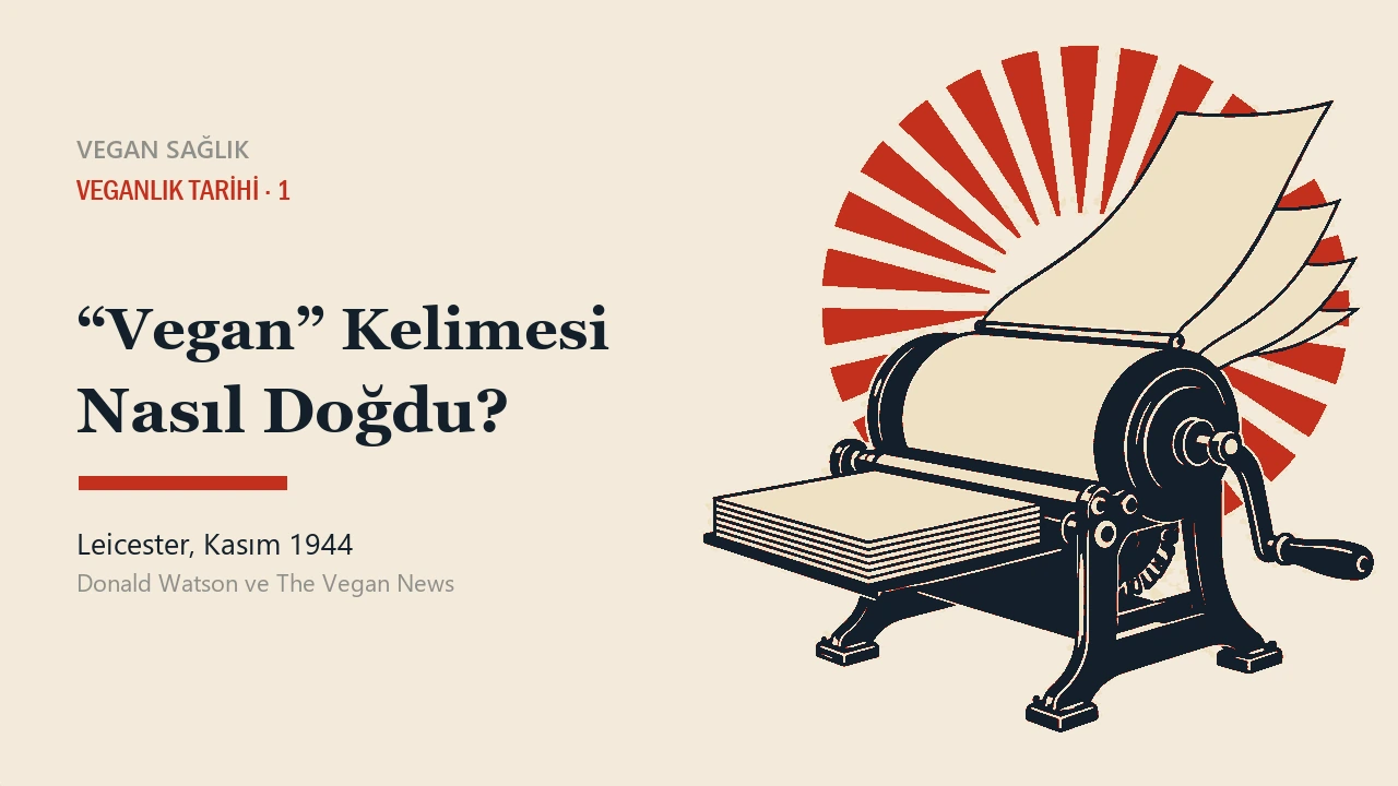 Yazı kapağı. Sağda üç çeyrek açıdan çizilmiş, elle çevrilen eski bir teksir makinesi duruyor; yan kolu, silindir tamburu ve dökme demir ayakları görünüyor. Bir yanında boş kâğıt destesi bekliyor, öbür yanından yeni çoğaltılmış boş sayfalar yelpaze gibi yükseliyor. Arkalarında kırmızı ışınlardan oluşan dairesel bir madalyon var. Solda yazının başlığı yer alıyor: Vegan kelimesi nasıl doğdu, Leicester, Kasım 1944. Dört renkli linol baskı üslubu.