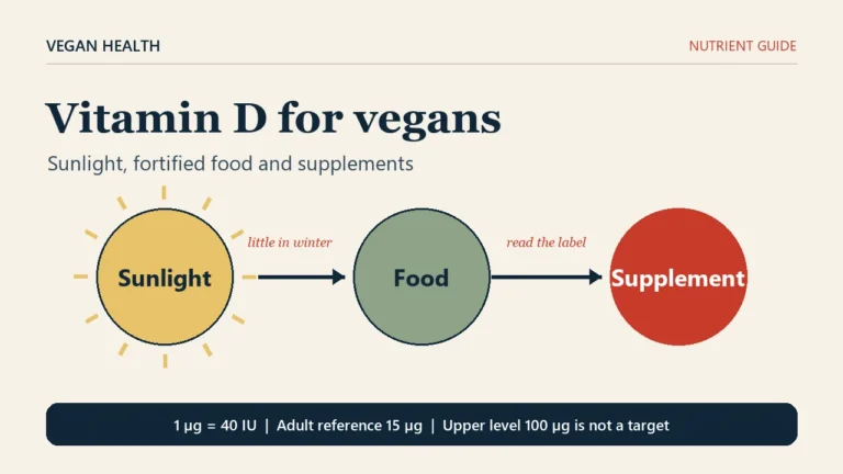 Editorial cover for a vitamin D guide for vegans: three circles labelled sunlight, food and supplement above a footer reading 1 microgram equals 40 IU.