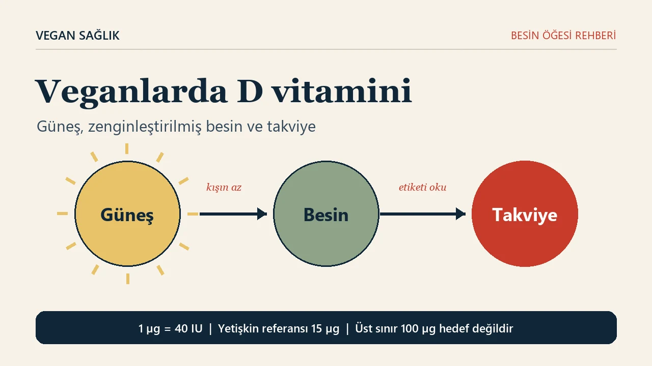 Veganlar için D vitamini rehberinin editoryal kapağı: güneş, besin ve takviye yazılı üç daire; altta 1 mikrogram 40 IU'ya eşittir yazan bant.