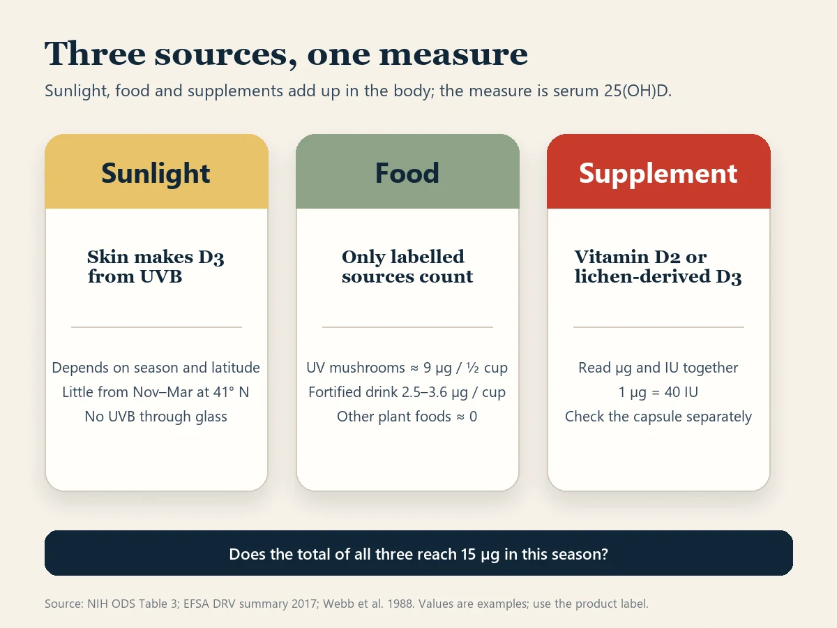 Three-card diagram titled Three sources, one measure. The sunlight card notes UVB, season and latitude and that little is made from November to March at 41 degrees north. The food card lists UV-exposed mushrooms at about 9 micrograms per half cup, fortified drinks at 2.5 to 3.6 micrograms per cup and unfortified plant foods at about zero. The supplement card lists vitamin D2 or lichen-derived D3 and reading micrograms and IU. A footer says all three end up as serum 25-hydroxyvitamin D.