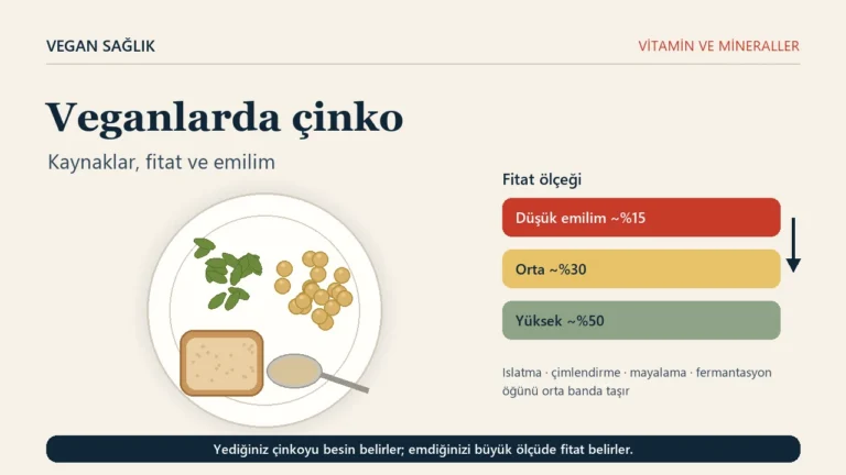 Veganlar için çinko rehberinin editoryal kapağı. Bir tabakta kabak çekirdeği, nohut, bir dilim tam tahıllı ekmek ve bir kaşık tahin; yanında küçük bir fitat ölçeği; altta yediğiniz çinkoyu besin belirler, emdiğinizi büyük ölçüde fitat belirler yazan bir bant.