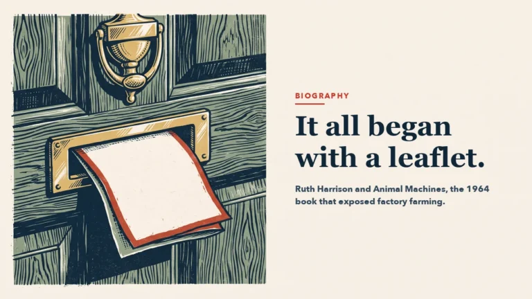 A blank leaflet pushed halfway through the brass letterbox of a wooden front door, with a brass knocker above. Headline: It all began with a leaflet.