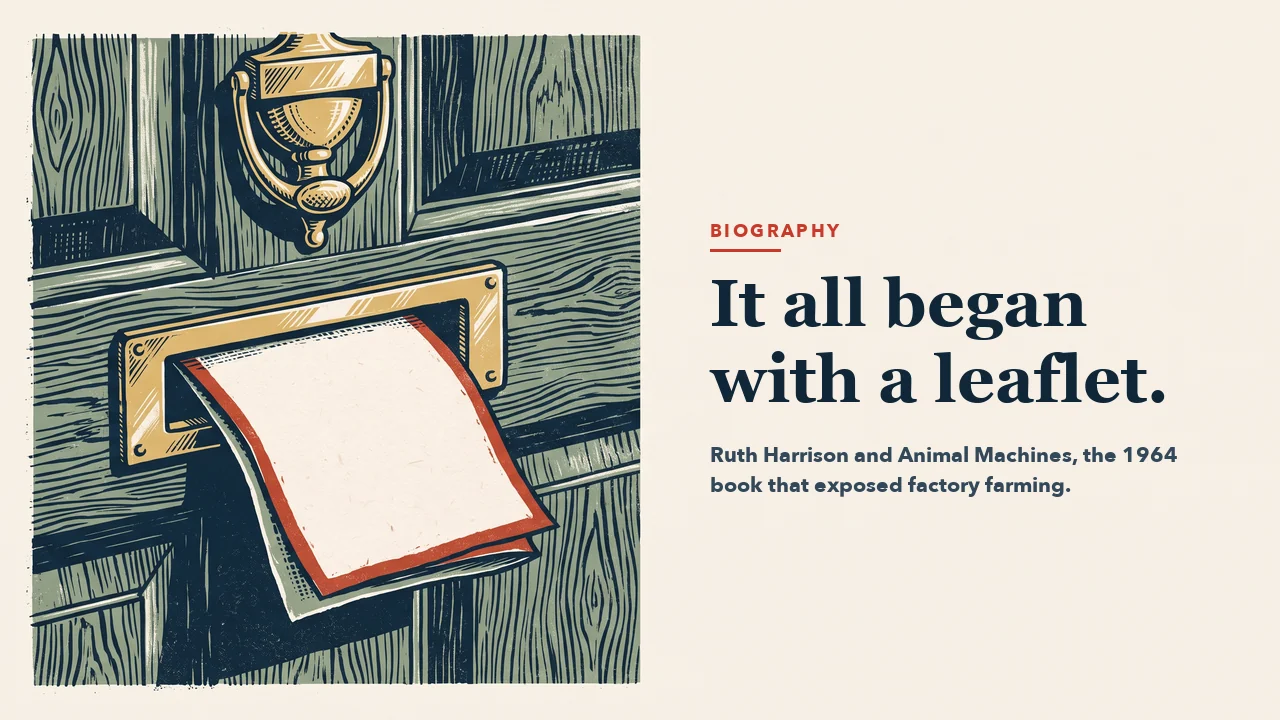 A blank leaflet pushed halfway through the brass letterbox of a wooden front door, with a brass knocker above. Headline: It all began with a leaflet.