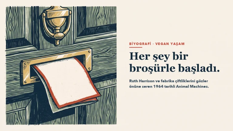 Ahşap bir ön kapının pirinç mektup aralığından yarıya kadar itilmiş, üzerinde yazı olmayan bir broşür; üstte pirinç kapı tokmağı. Başlık: Her şey bir broşürle başladı.