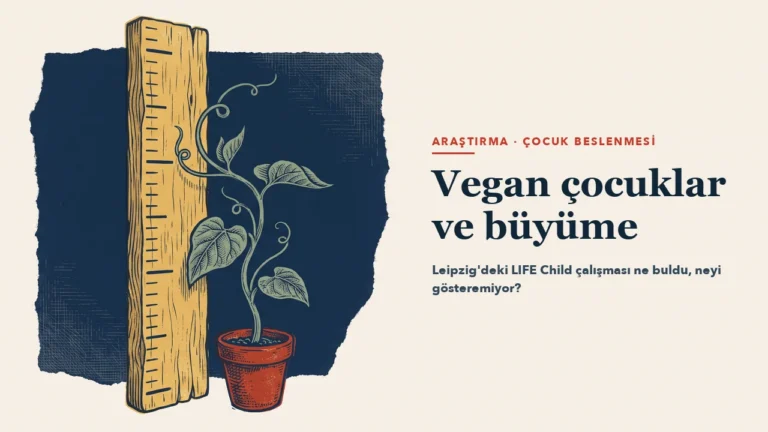 Ahşap bir boy ölçüm çubuğunun yanında saksıda büyüyen tırmanıcı fasulye fidesi
