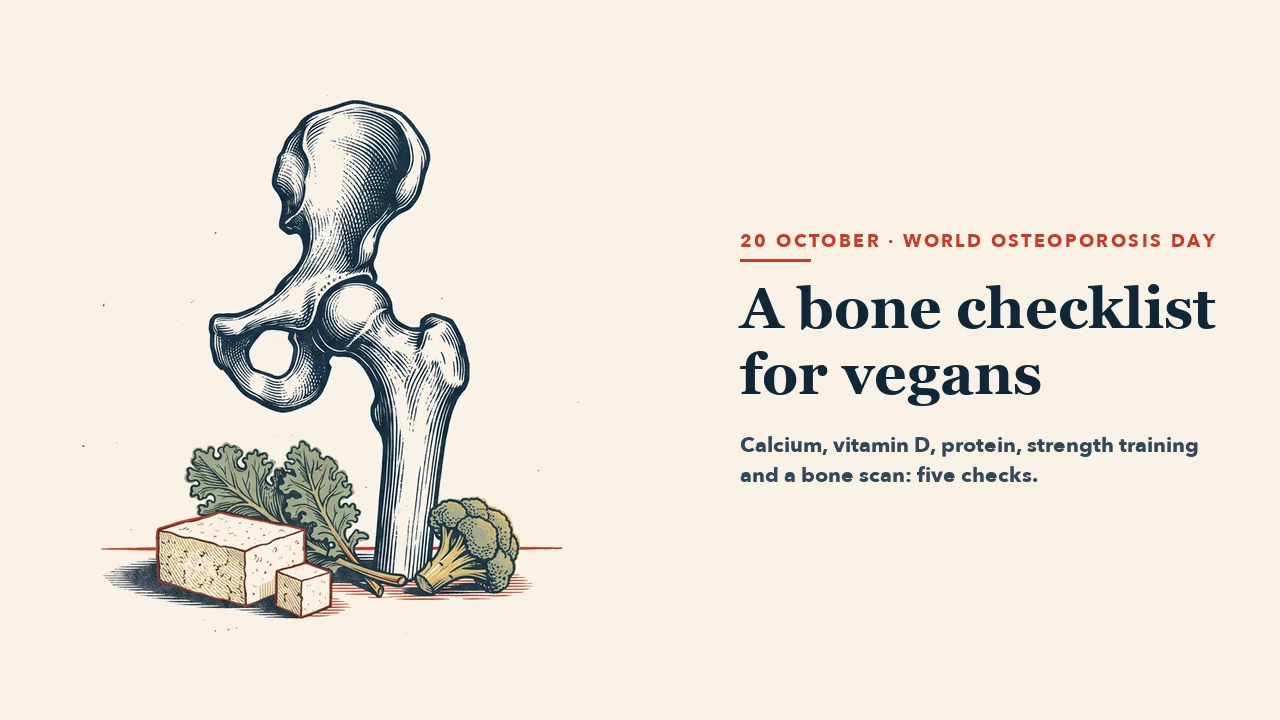 An upright drawing of a hip bone and thigh bone, with a block and a cube of tofu, kale leaves and broccoli in front