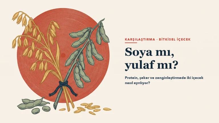 Kırmızı bir diskin önünde çapraz bağlanmış yulaf başakları ve soya dalı