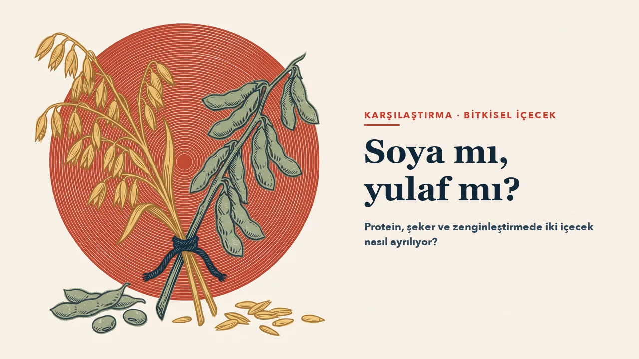 Kırmızı bir diskin önünde çapraz bağlanmış yulaf başakları ve soya dalı