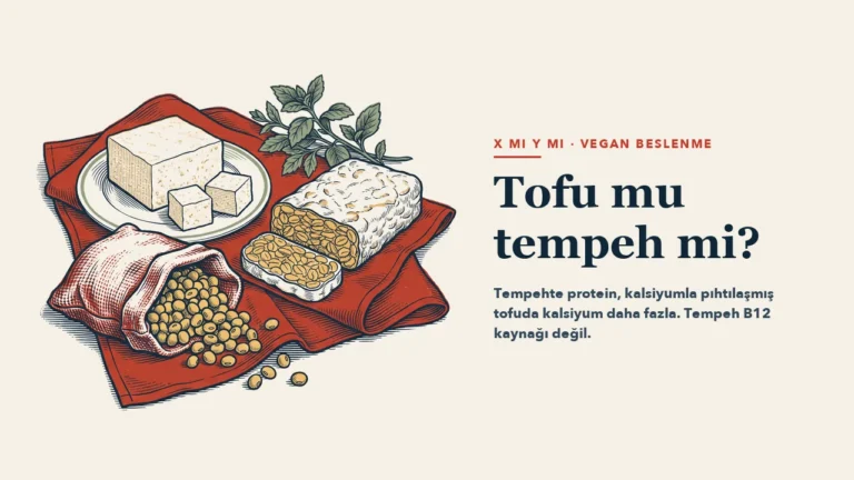 Kırmızı keten bez üzerinde tabakta bir blok tofu ve küpleri, dilimlenmiş tempeh, soya taneleri dökülen bir çuval ve yeşillik